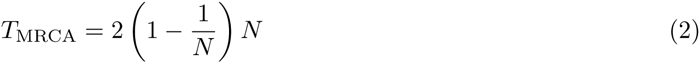 Equation 2