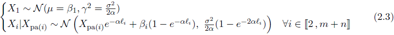 Equation 11