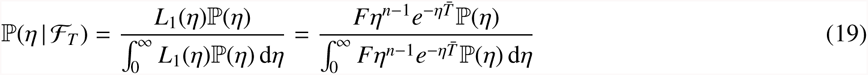 Equation 11