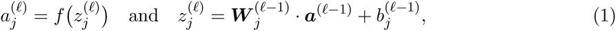 Equation 1
