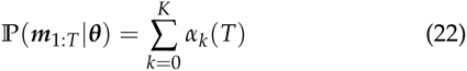 Equation 15