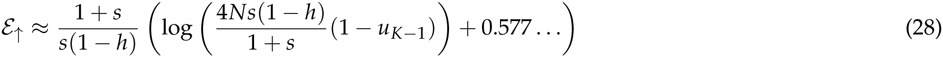 Equation 21
