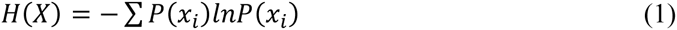 Equation 1