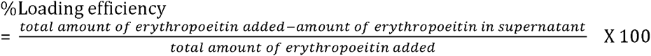 Equation 1