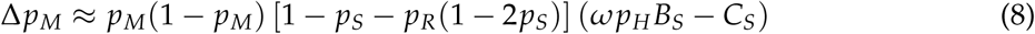 Equation 11