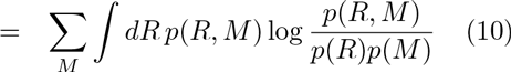 Equation 2