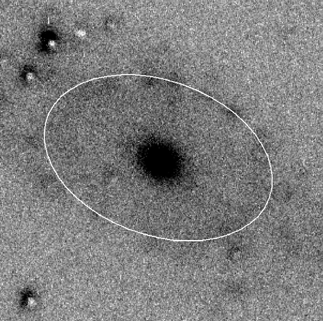 Figure 24
