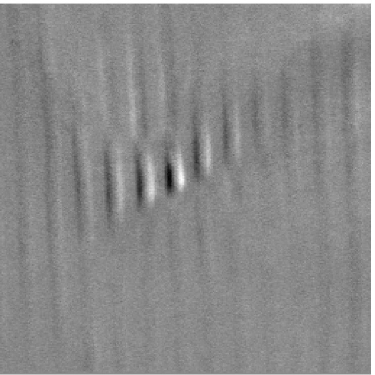Figure 11