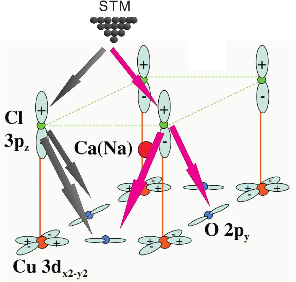 Figure 7
