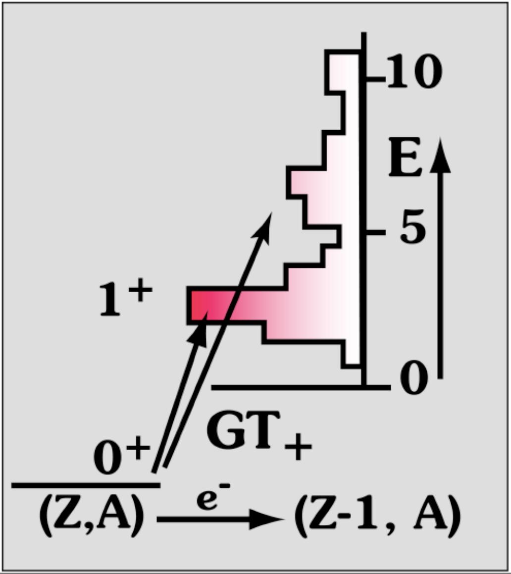Figure 22