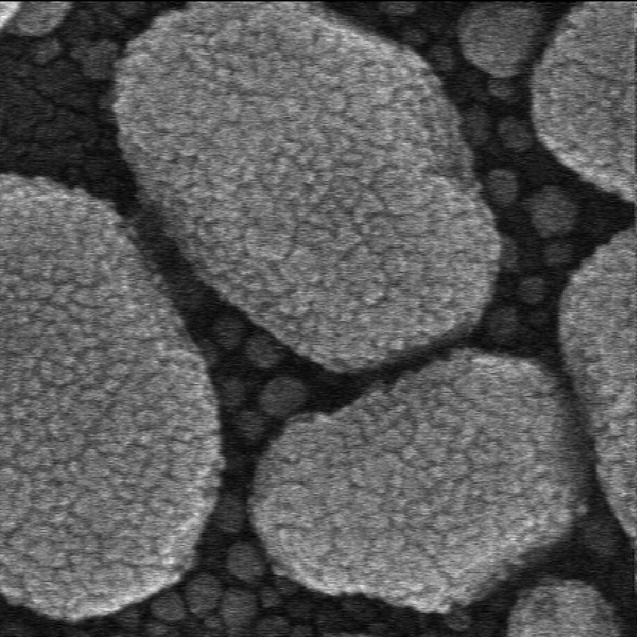 Figure 12