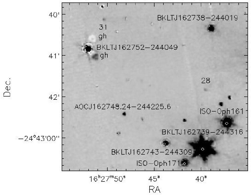 Figure 31