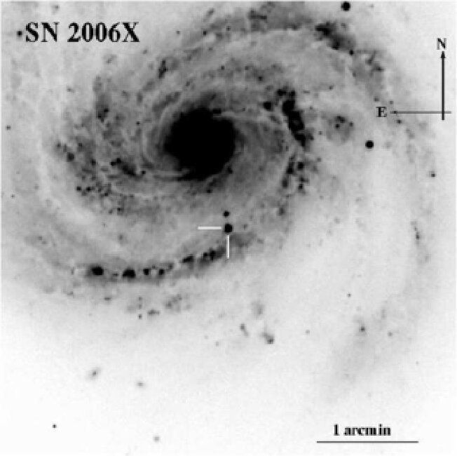 Figure 29