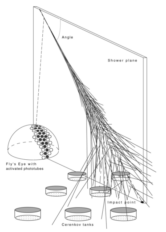 Figure 19