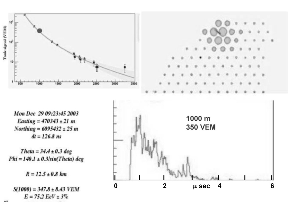 Figure 24