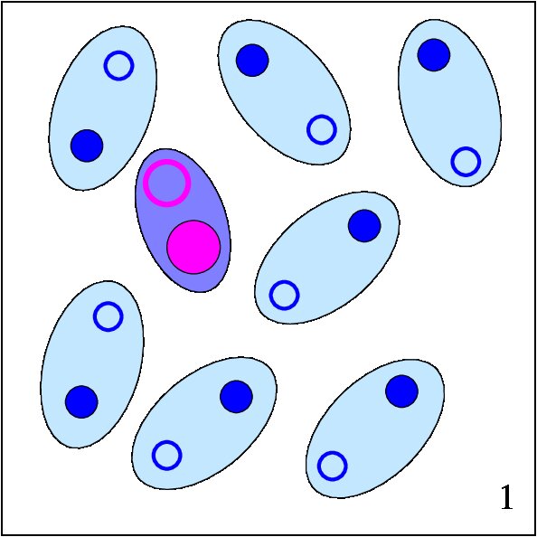 Figure 24