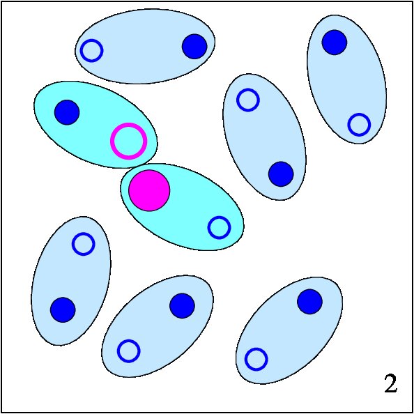 Figure 25