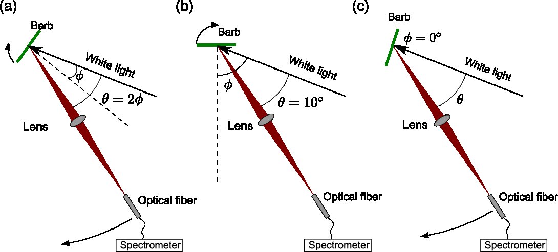 Figure 16