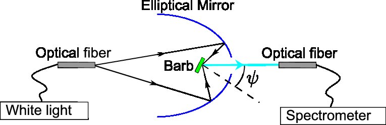 Figure 21