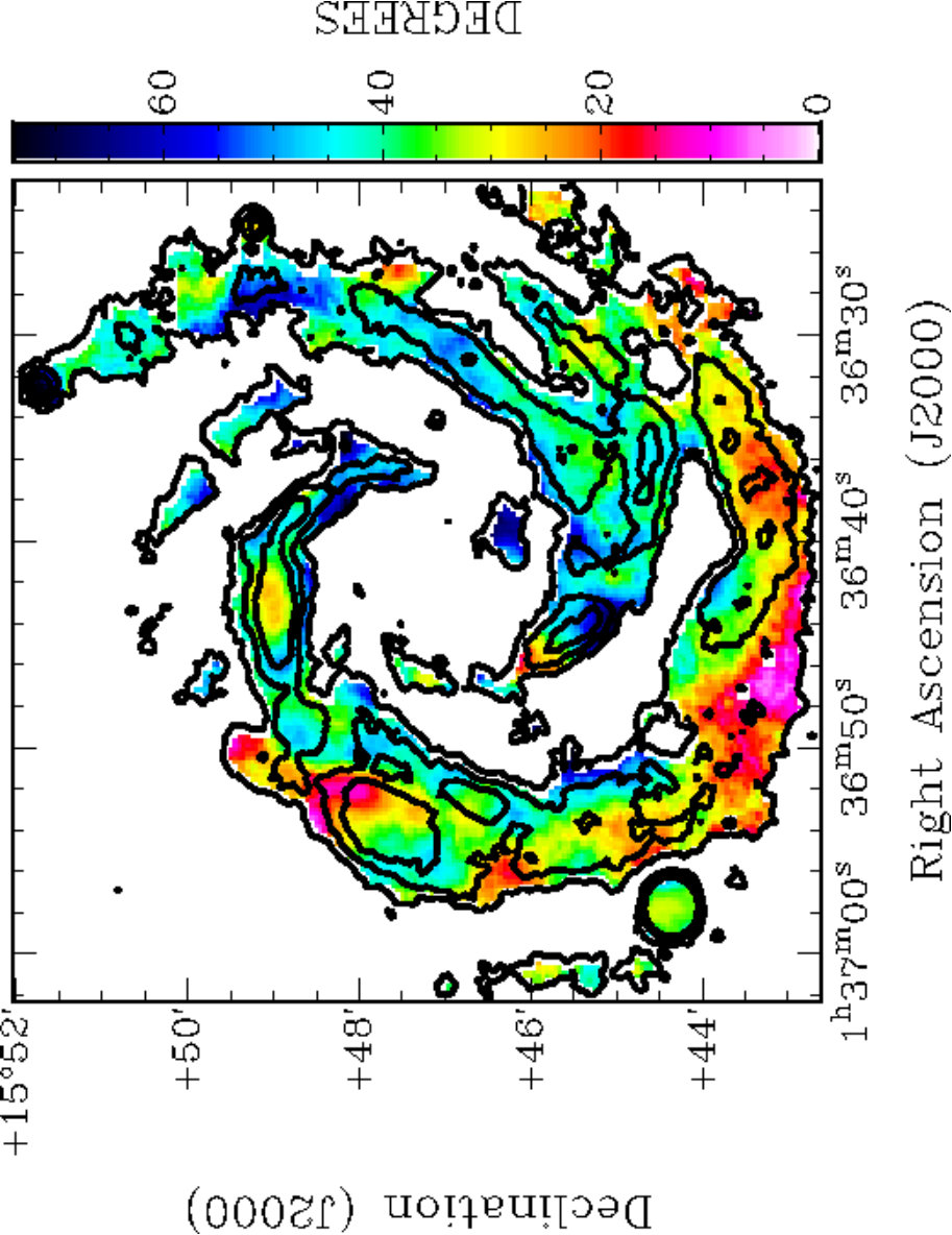 Figure 28