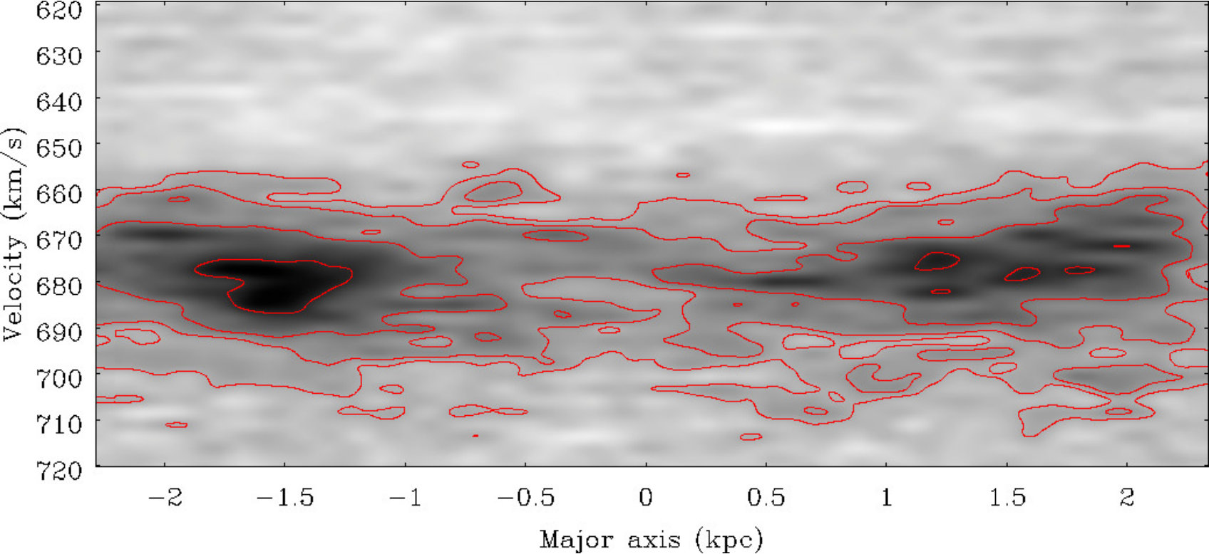 Figure 31