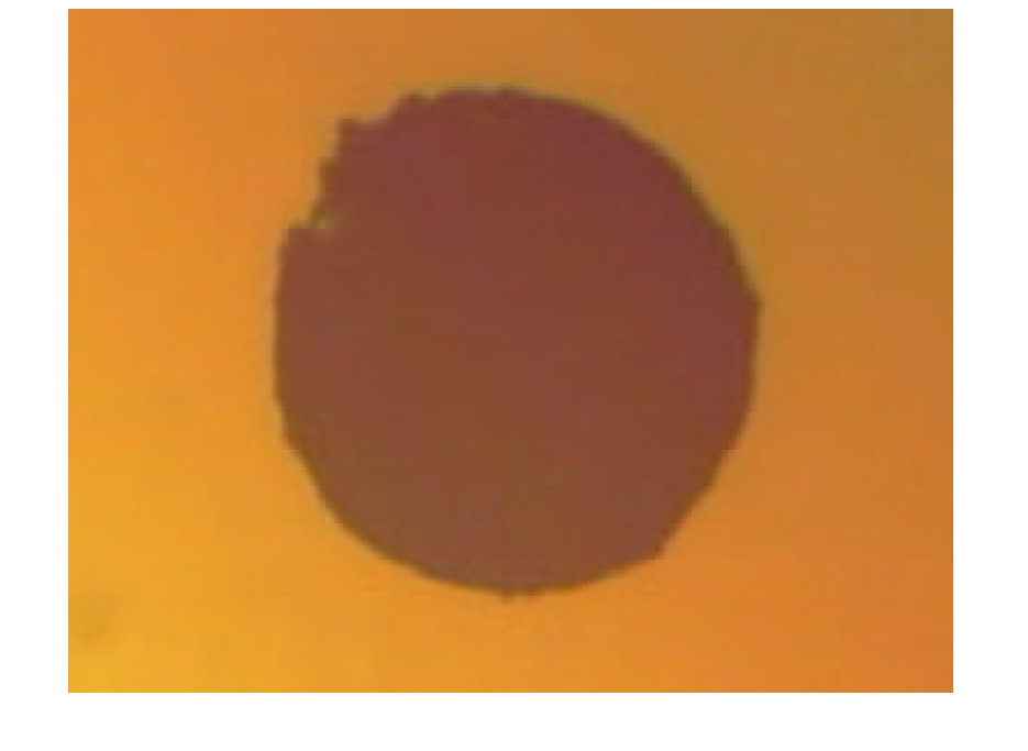 Figure 19