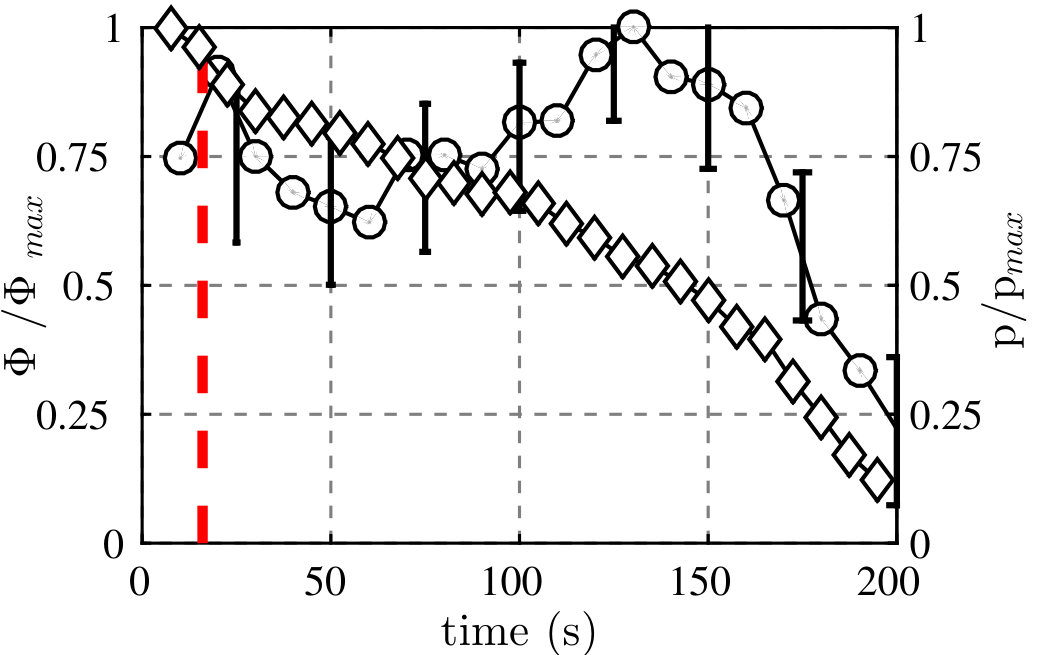 Figure 21