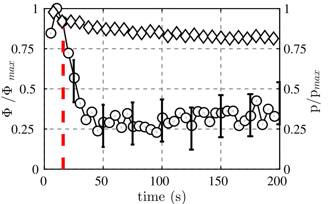 Figure 26