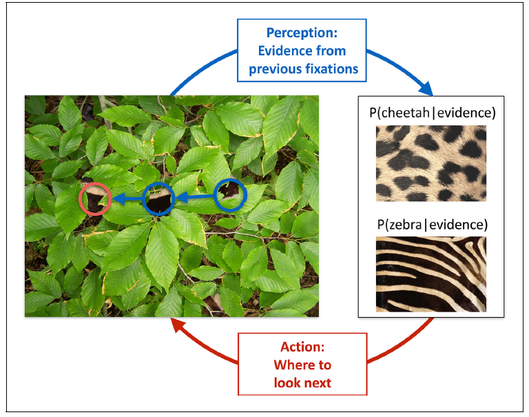 Figure 16