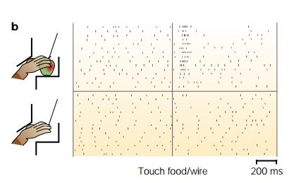 Figure 22