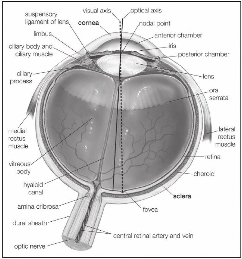 Figure 23