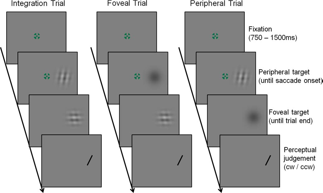 Figure 25