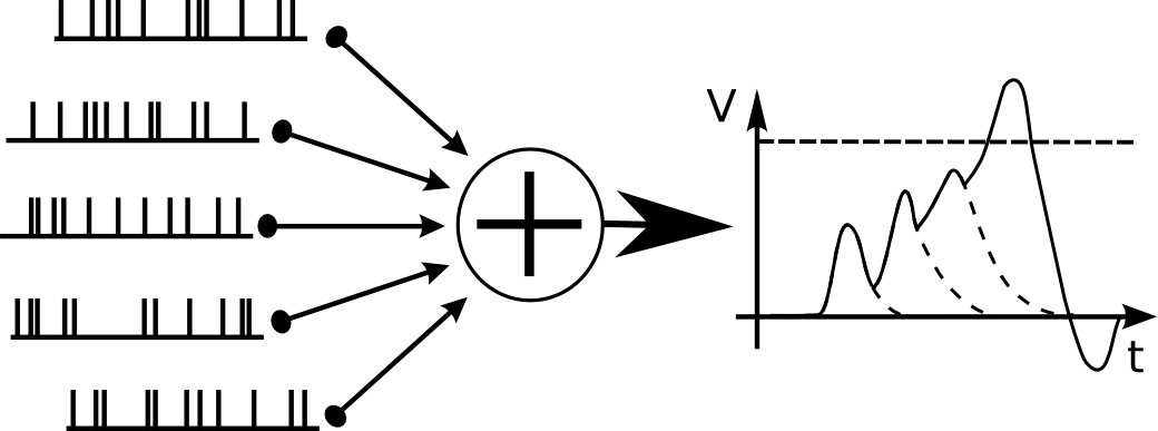 Figure 23