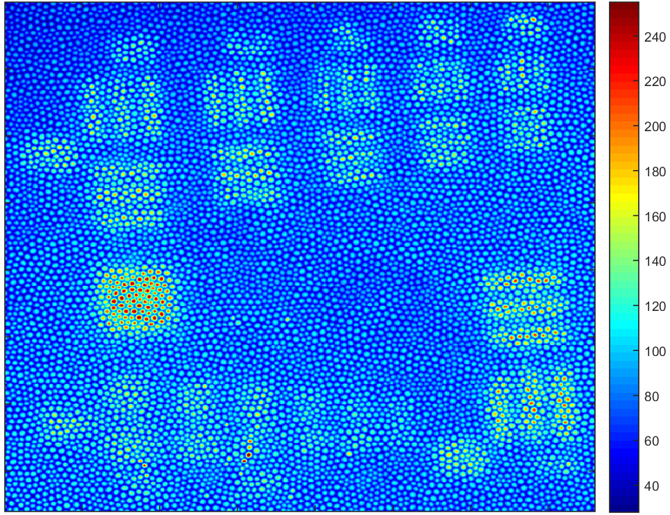 Figure 17