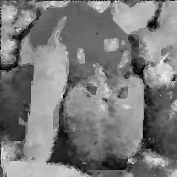Figure 29