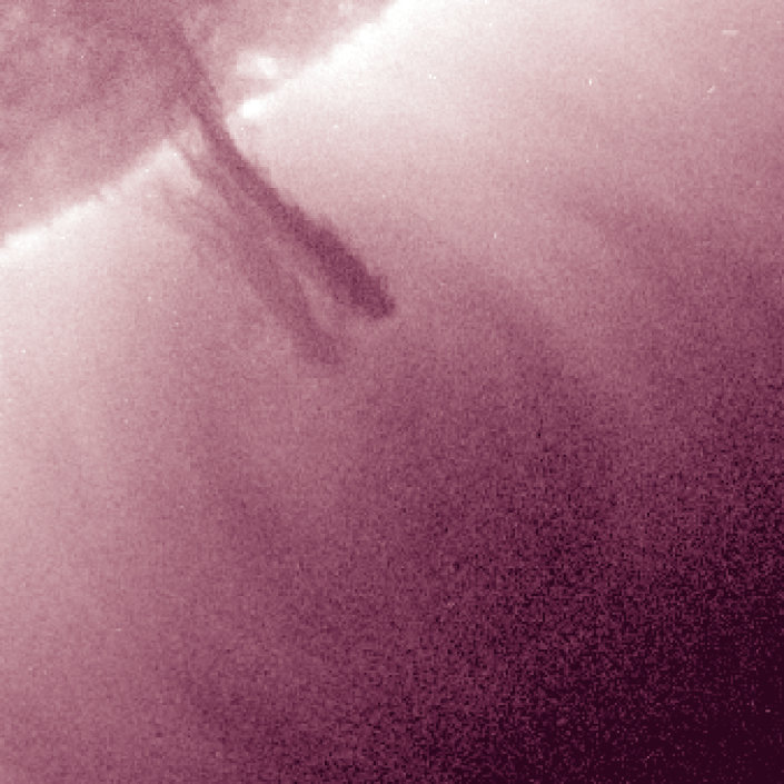 Figure 29