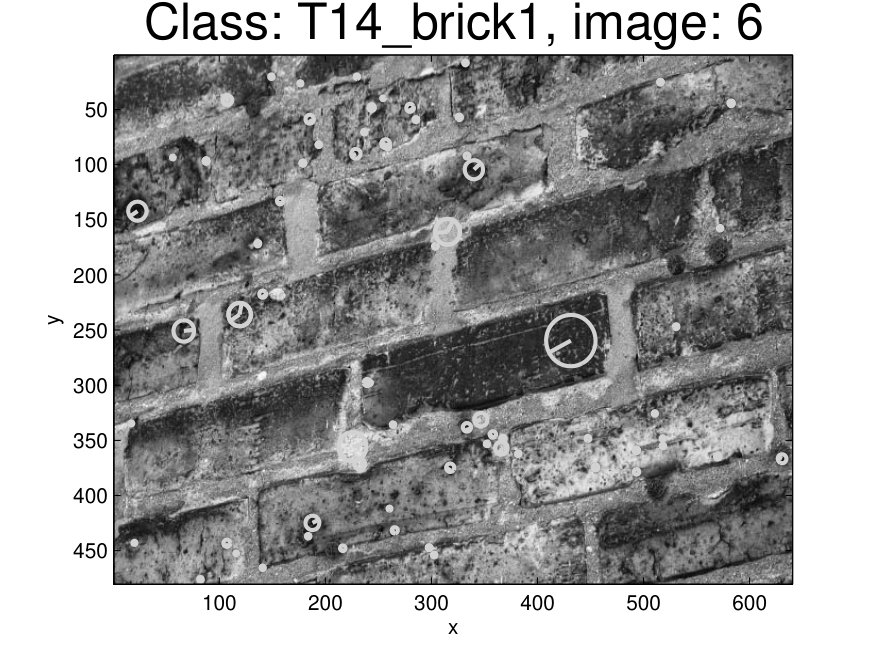 Figure 33