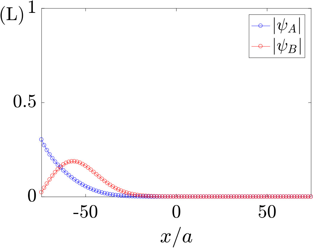 Figure 31