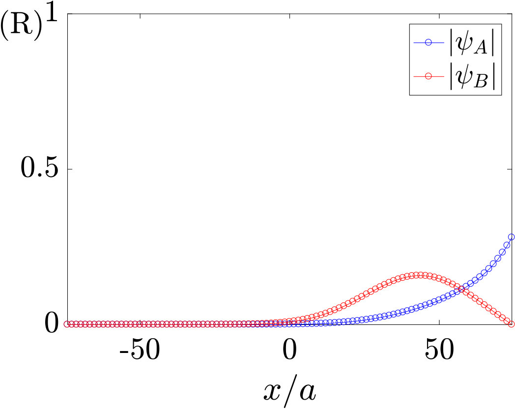 Figure 32