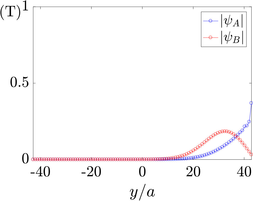 Figure 33
