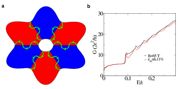 Figure 22