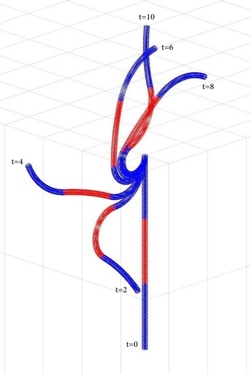 Figure 9