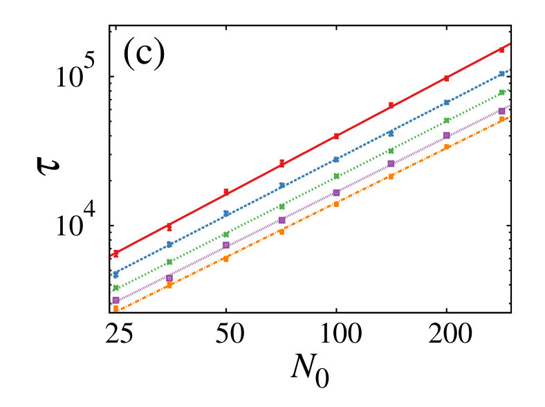 Figure 20