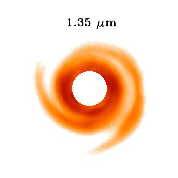 Figure 29