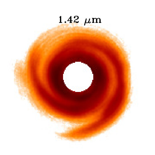 Figure 30