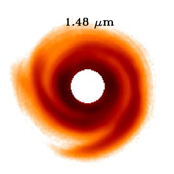 Figure 31