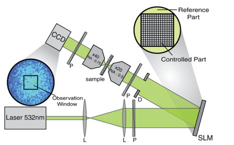 Figure 19