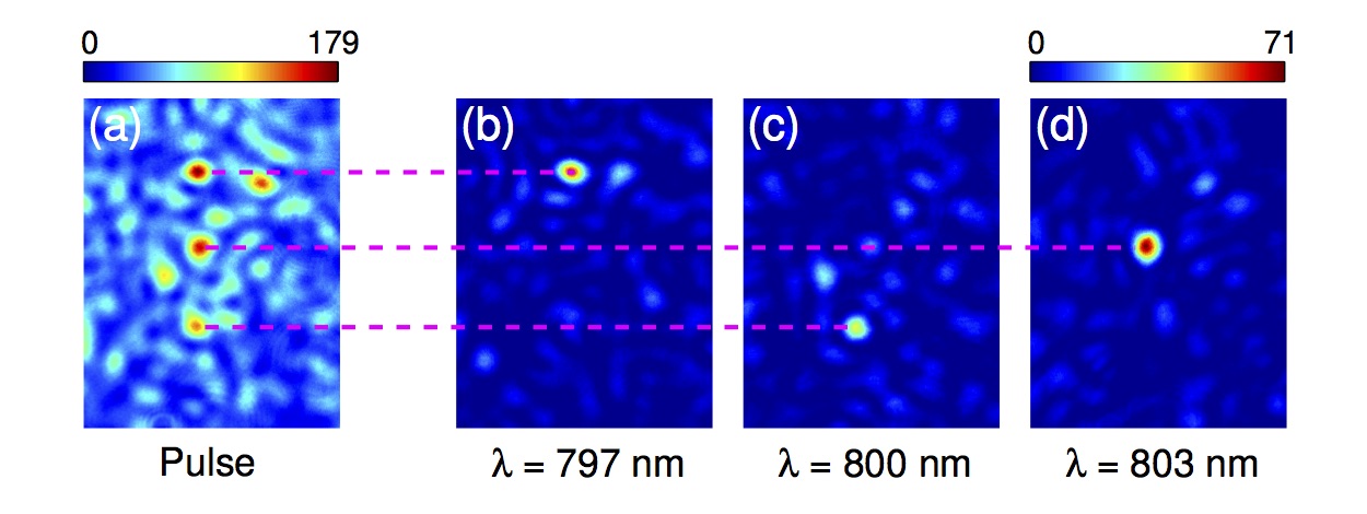Figure 20