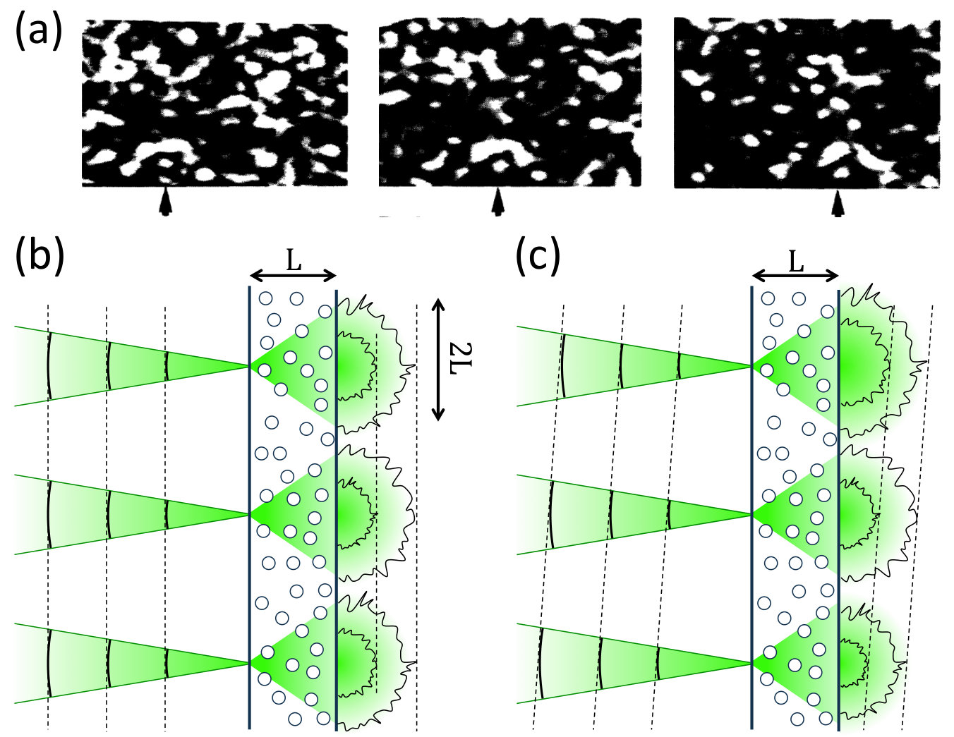 Figure 24