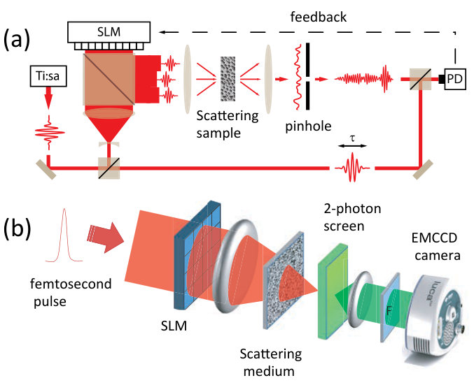 Figure 38